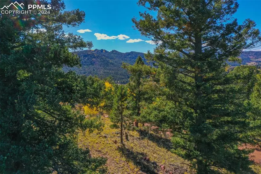 480 Ponderosa DR, Guffey, CO 80820