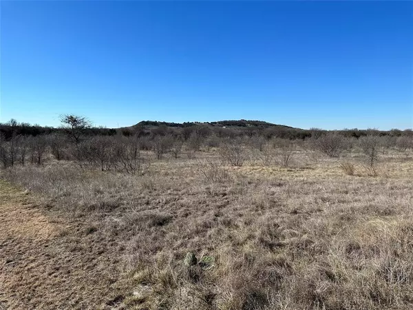 Graford, TX 76449,1396 Pk Hills Boulevard