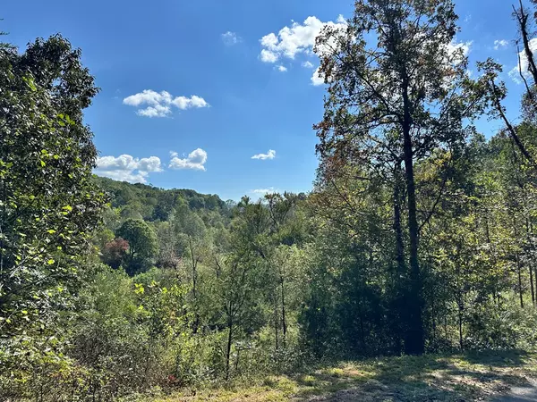 Young Harris, GA 30582,Lot 1&3 Ruby Ridge Drive