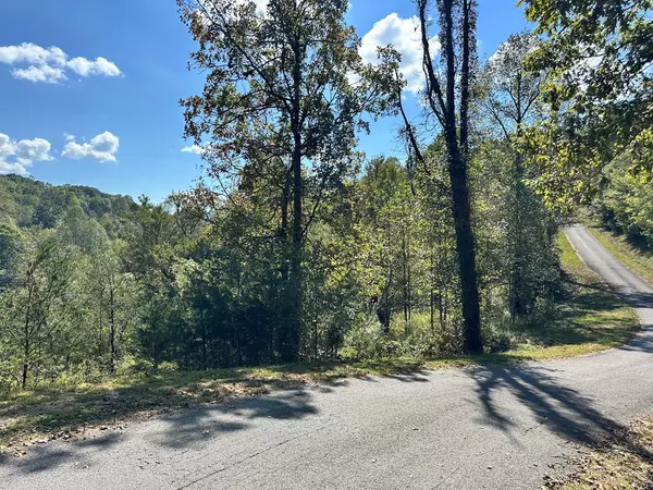 Young Harris, GA 30582,Lot 1&3 Ruby Ridge Drive