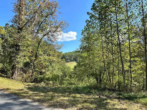 Young Harris, GA 30582,Lot 1&3 Ruby Ridge Drive