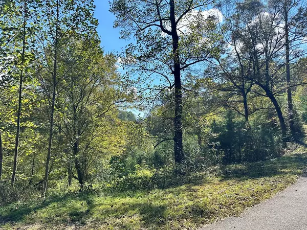 Young Harris, GA 30582,Lot 1&3 Ruby Ridge Drive