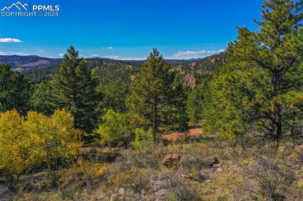 Guffey, CO 80820,480 Ponderosa DR