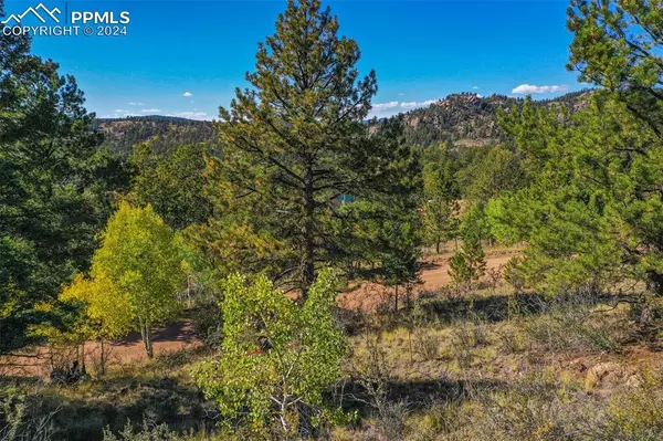 Guffey, CO 80820,480 Ponderosa DR