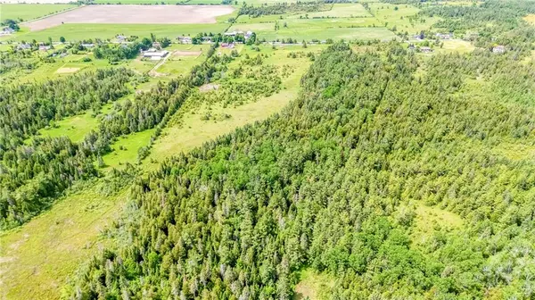0 GOLDEN LINE RD, Almonte, ON K0A 1A0
