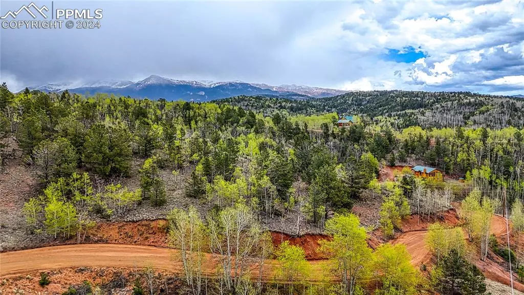 Cripple Creek, CO 80813,1693 Golden Cycle CIR