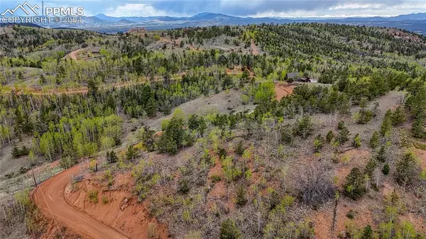 Cripple Creek, CO 80813,1693 Golden Cycle CIR