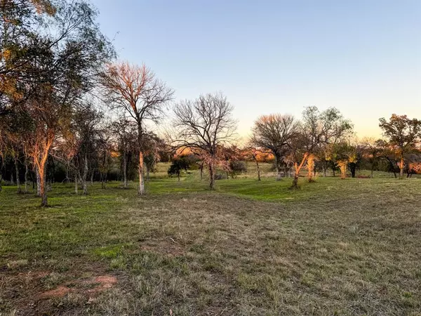 Lipan, TX 76462,TBD Big Valley Circle