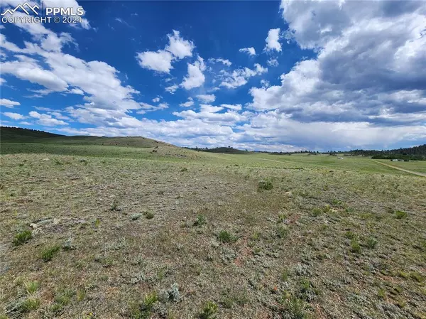 Hartsel, CO 80449,Black Kettle RD