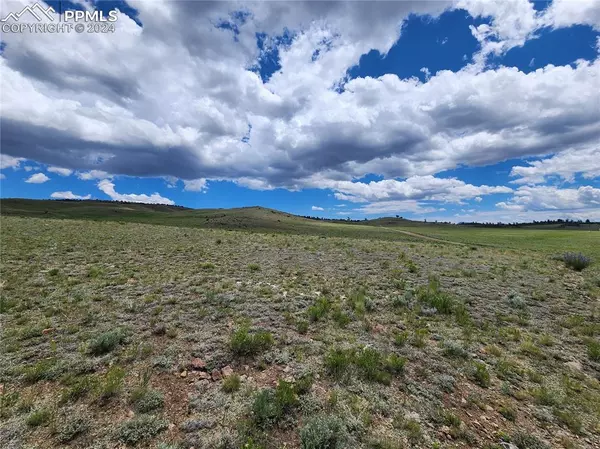 Hartsel, CO 80449,Black Kettle RD