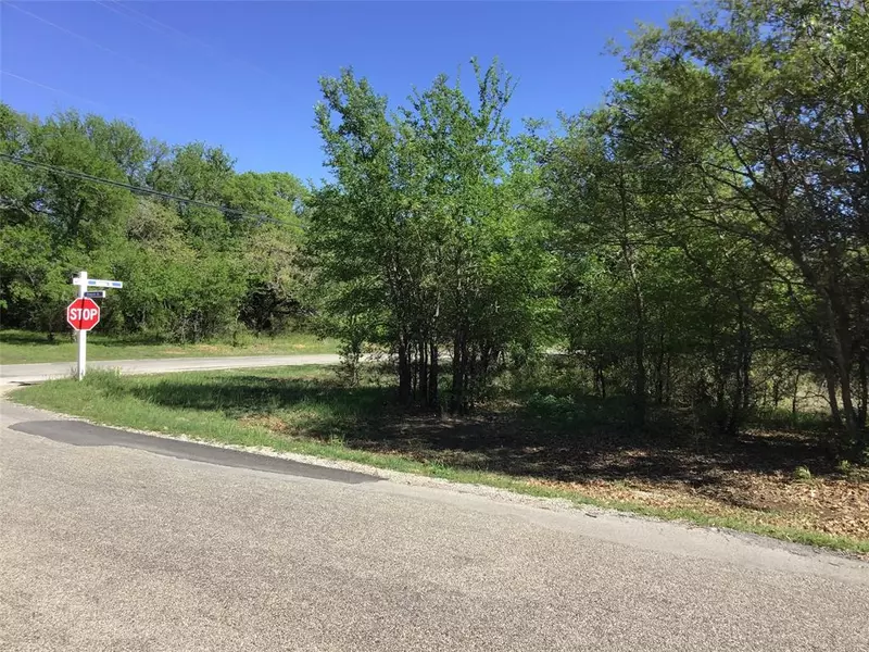 1143 Overlook Drive, Whitney, TX 76692