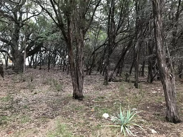 Whitney, TX 76692,41051 Flagstone Circle