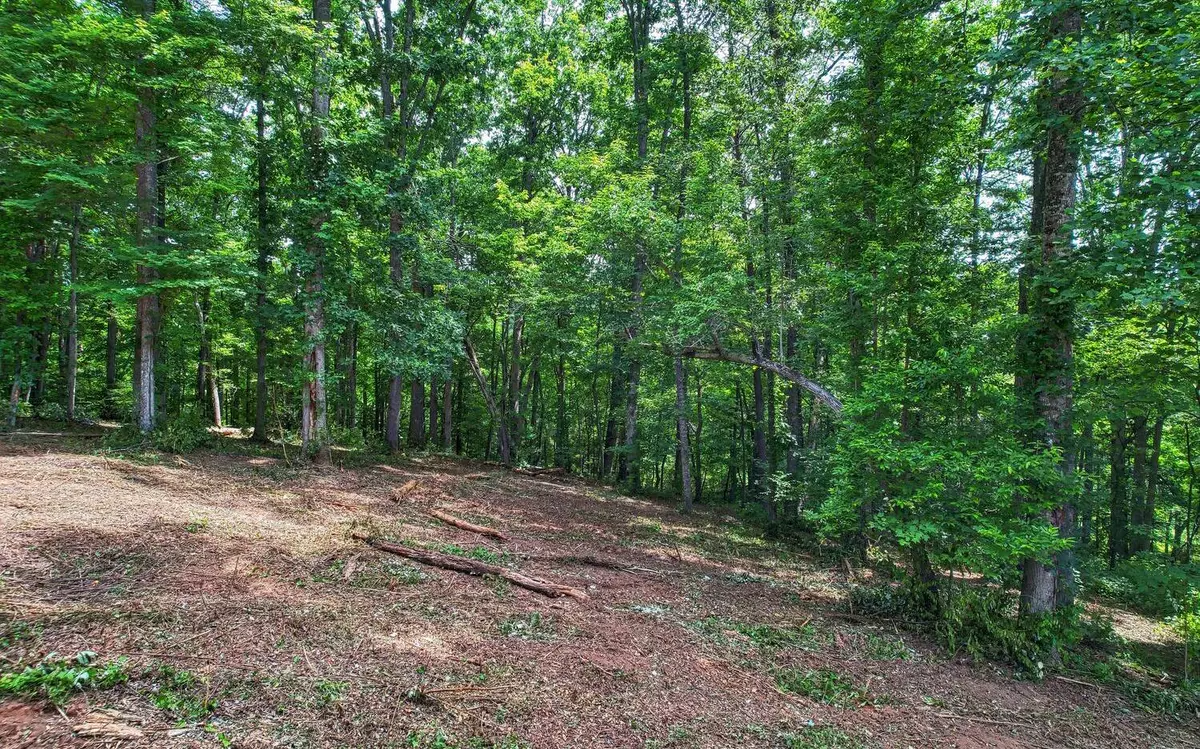 Young Harris, GA 30582,Lot 91 The Preserve Lot 91