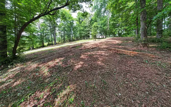 Young Harris, GA 30582,Lot 91 The Preserve Lot 91