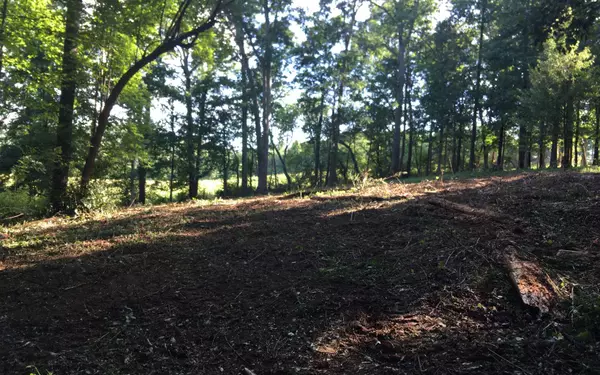 Young Harris, GA 30582,Lot 91 The Preserve Lot 91