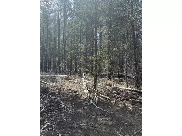 Chiloquin, OR 97624,Scotts View Lot #TL 1