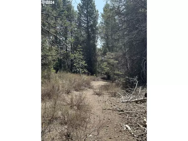 Chiloquin, OR 97624,Scotts View Lot #TL 1