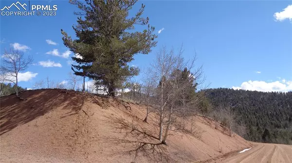 400 Last Dollar DR, Cripple Creek, CO 80813