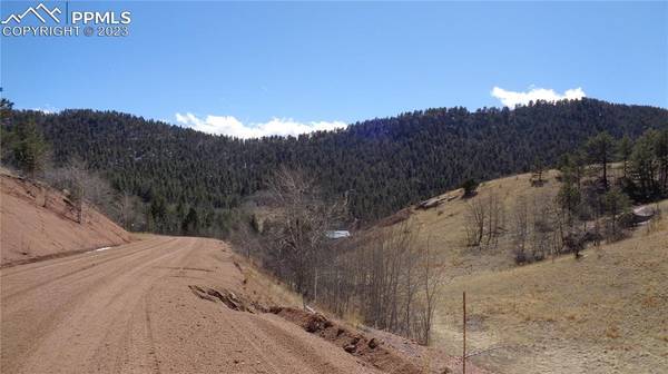 Cripple Creek, CO 80813,400 Last Dollar DR