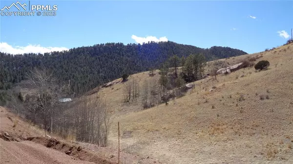 Cripple Creek, CO 80813,400 Last Dollar DR