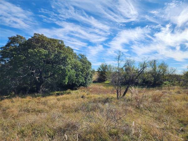 Comanche, TX 76442,TBD County Road 238