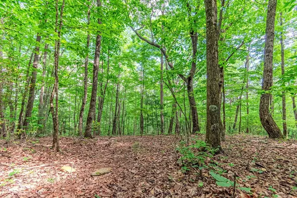 Ellijay, GA 30540,Lot 36 Abbott Mill Road