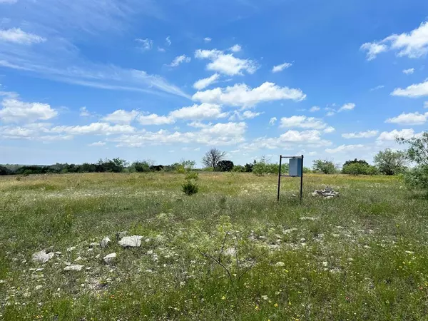 Dublin, TX 76446,Lot 1 Highway 6