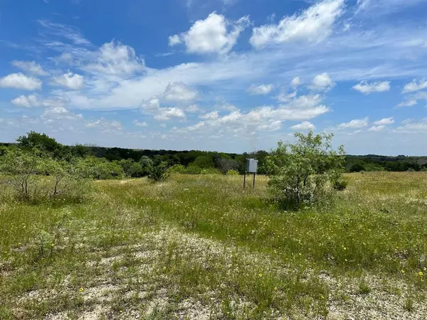 Dublin, TX 76446,Lot 1 Highway 6