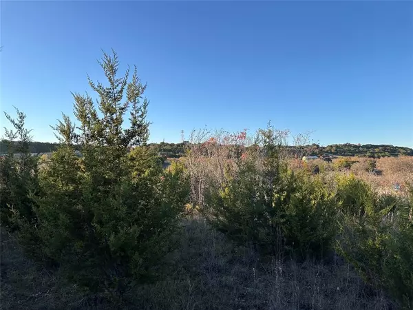 Graford, TX 76449,Lot 659R Canyon Wren Loop