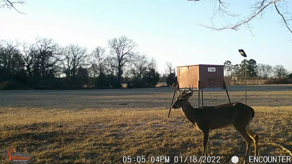 Como, TX 75431,29acres County Road 2428