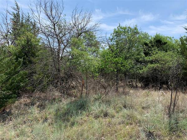 000 Valley Trail Drive, Hudson Oaks, TX 76087