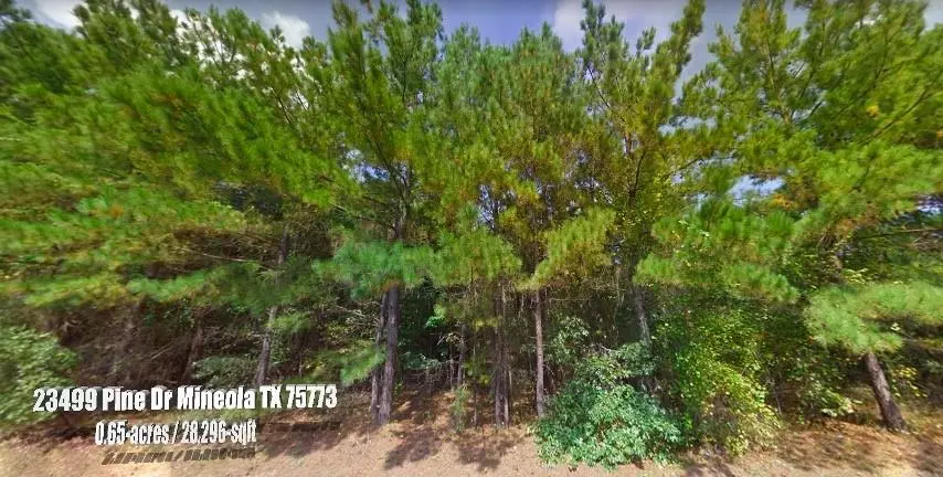 23499 Pine Drive, Mineola, TX 75773