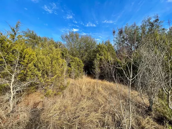 2545 Schooner Way, Bluff Dale, TX 76433