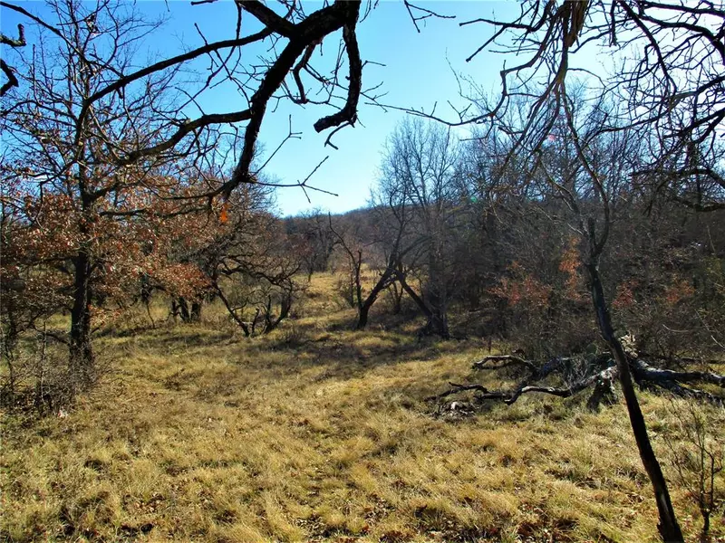 58 Ac Burwick, Jacksboro, TX 76458