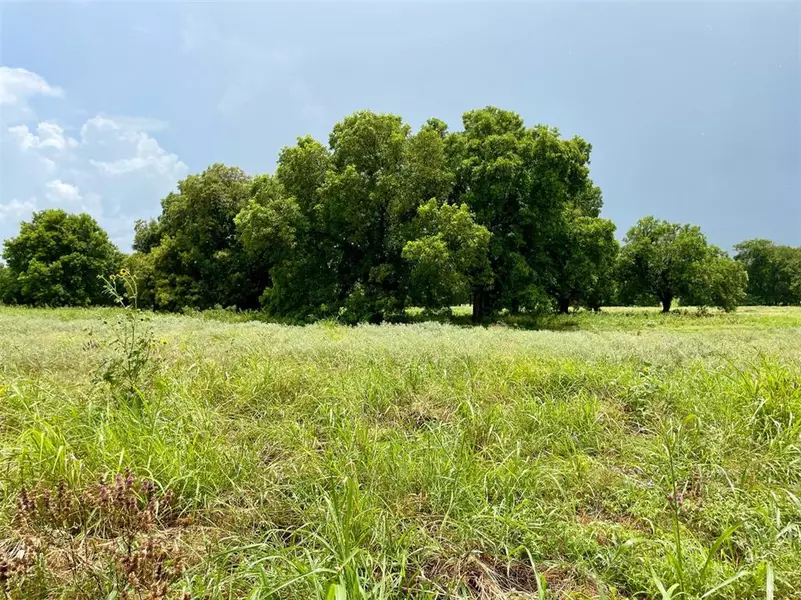 Lot 43 Cartwright Road, Weatherford, TX 76087