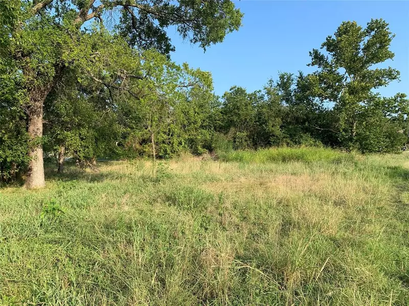 401 Austin Road, Glen Rose, TX 76043