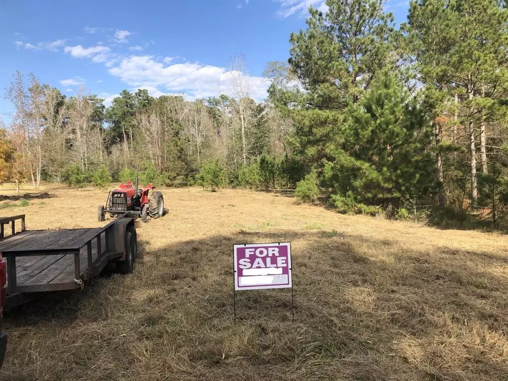 Willis, TX 77378,Lot 10 Hidden Springs Ranch Drive