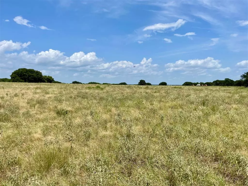 Weatherford, TX 76087,Lot 90 Greene Road