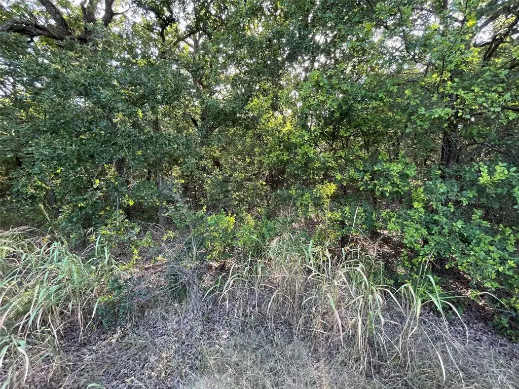 Runaway Bay, TX 76426,Lot 18 Bolero Court