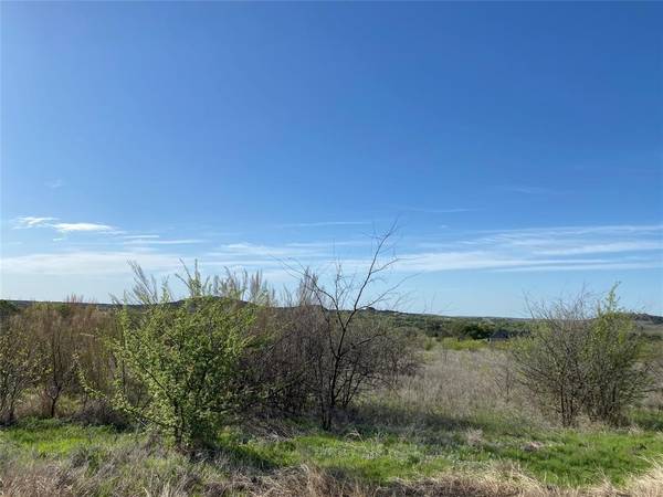 Lot 205 Evening Primrose Drive, Graford, TX 76449