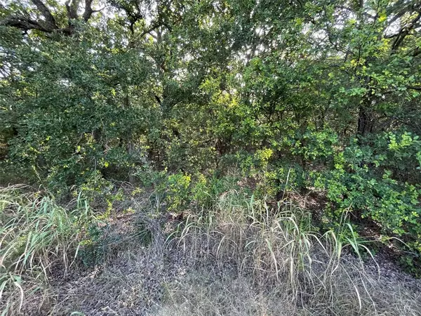 Lot 18 Bolero Court, Runaway Bay, TX 76426