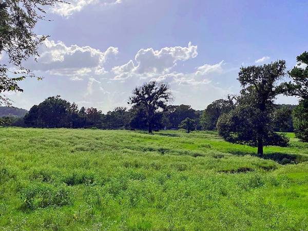 TBD County Road 4325, Larue, TX 75770