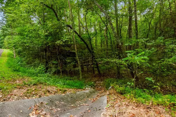 Lot 45 Abbott Mill Road, Ellijay, GA 30540