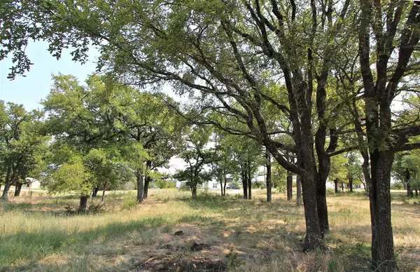 # 25 Rolling Hills Trail, Glen Rose, TX 76043