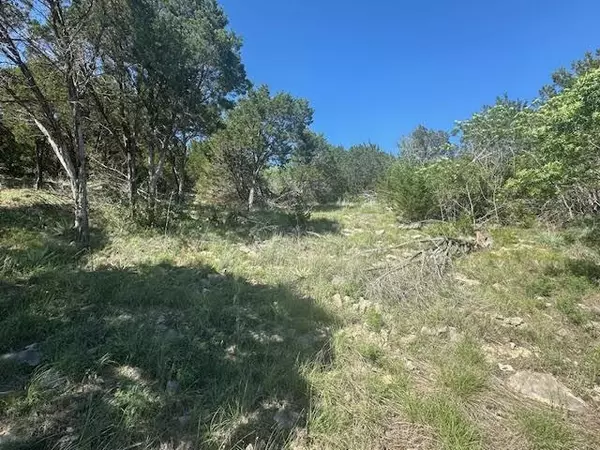 Graford, TX 76449,Lot 259 Canyon Wren Loop