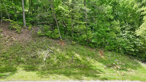 Ellijay, GA 30540,lot 205r Pinnacle Drive