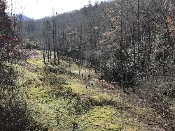 Hayesville, NC 28904,00 Cold Branch Road