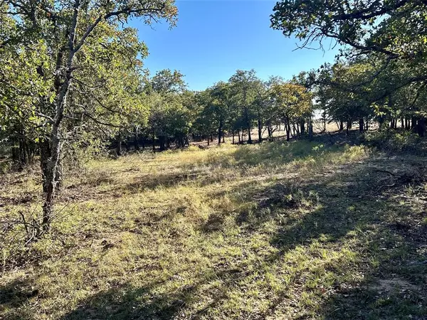 Gorman, TX 76454,TBD County Road 357