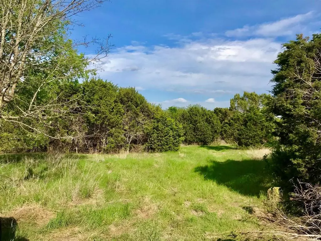 Granbury, TX 76048,TBD Lot 30