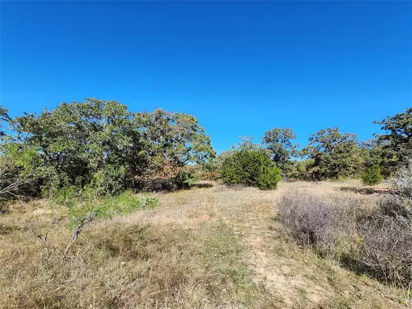 Cross Plains, TX 76443,18481 County Road 441